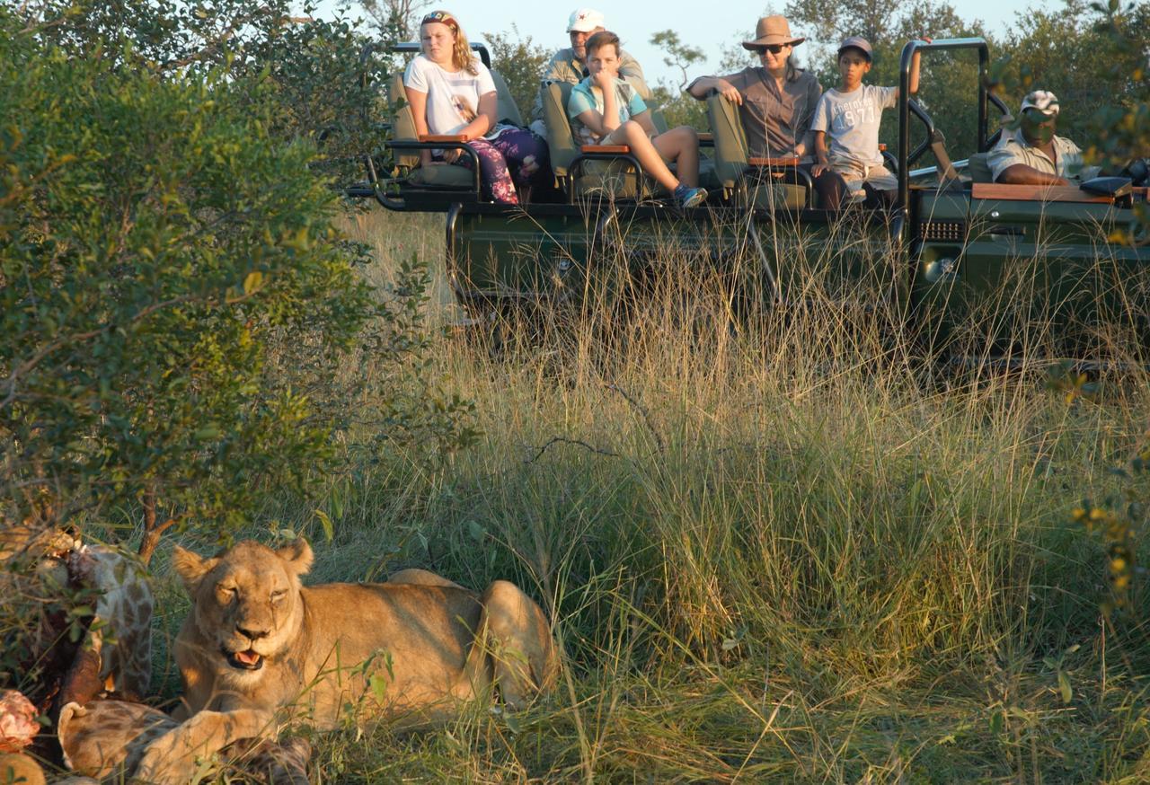 Willa Pungwe Safari Camp Manyeleti Game Reserve Zewnętrze zdjęcie