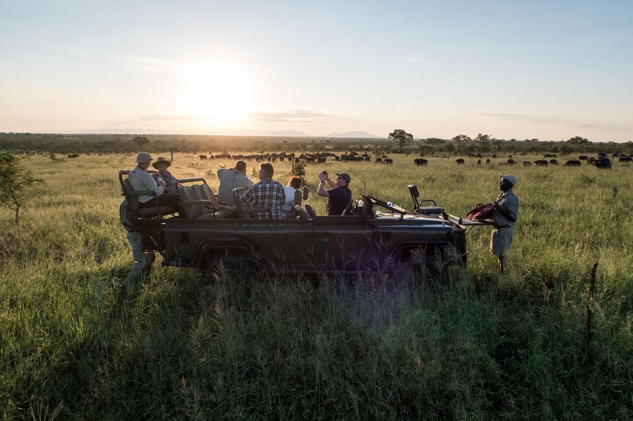 Willa Pungwe Safari Camp Manyeleti Game Reserve Zewnętrze zdjęcie