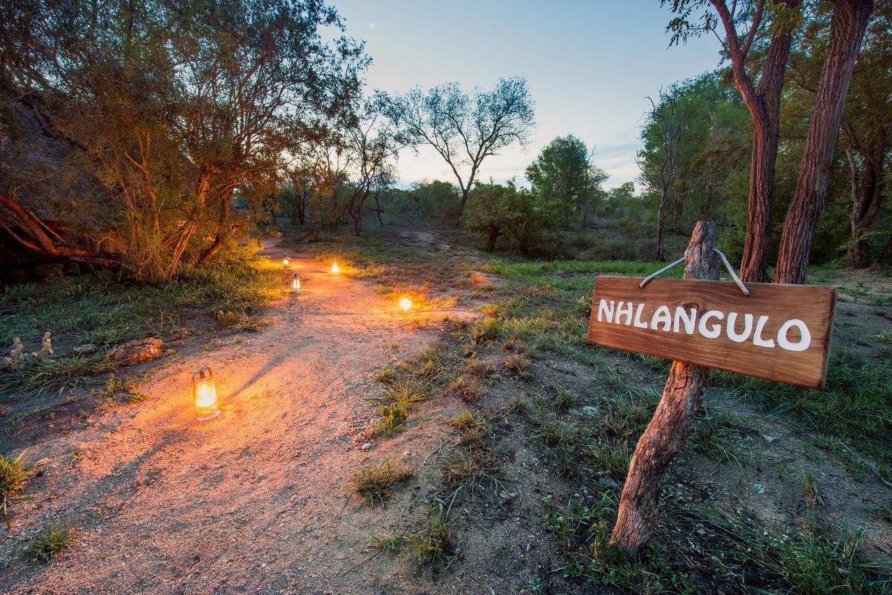 Willa Pungwe Safari Camp Manyeleti Game Reserve Zewnętrze zdjęcie