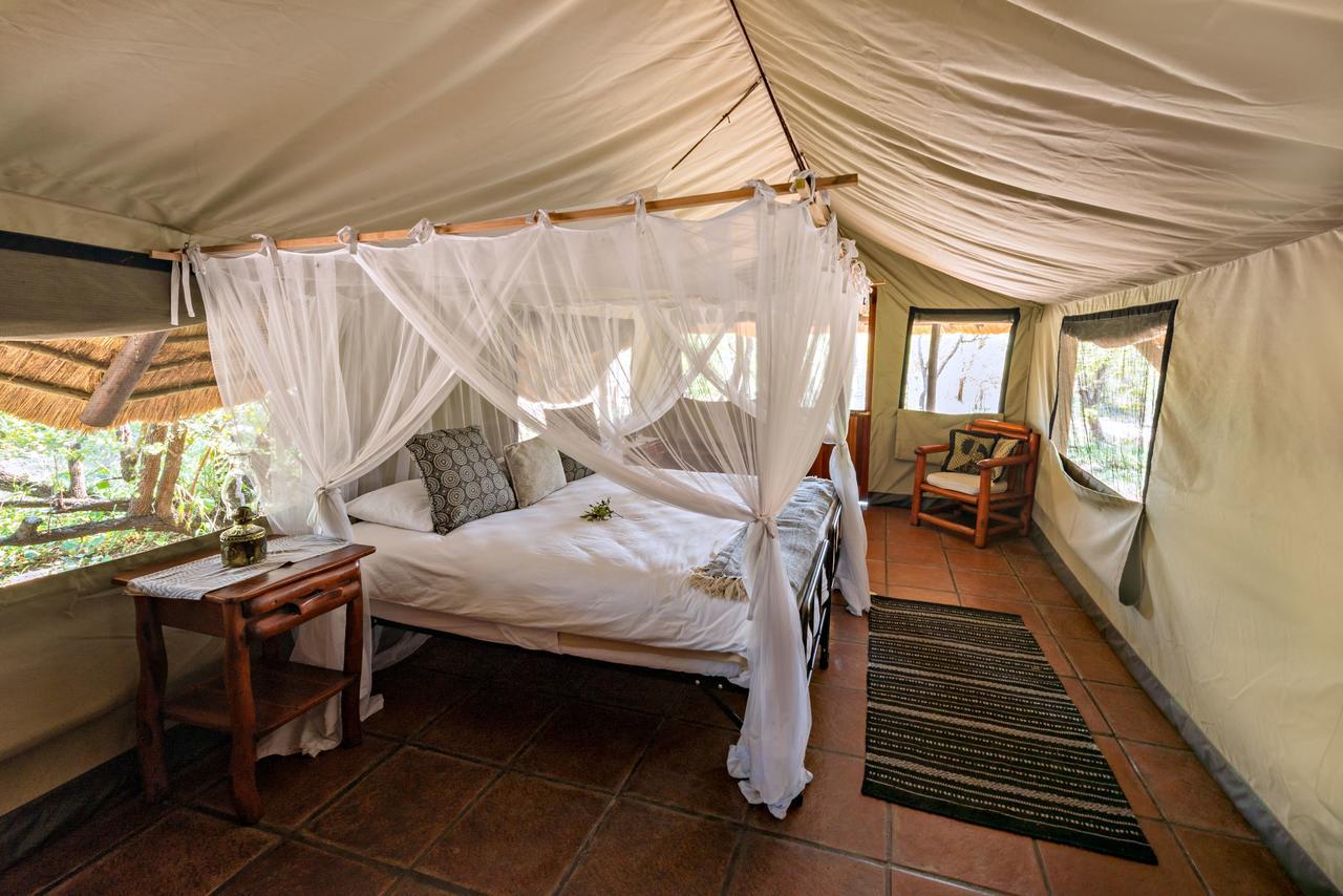 Willa Pungwe Safari Camp Manyeleti Game Reserve Zewnętrze zdjęcie