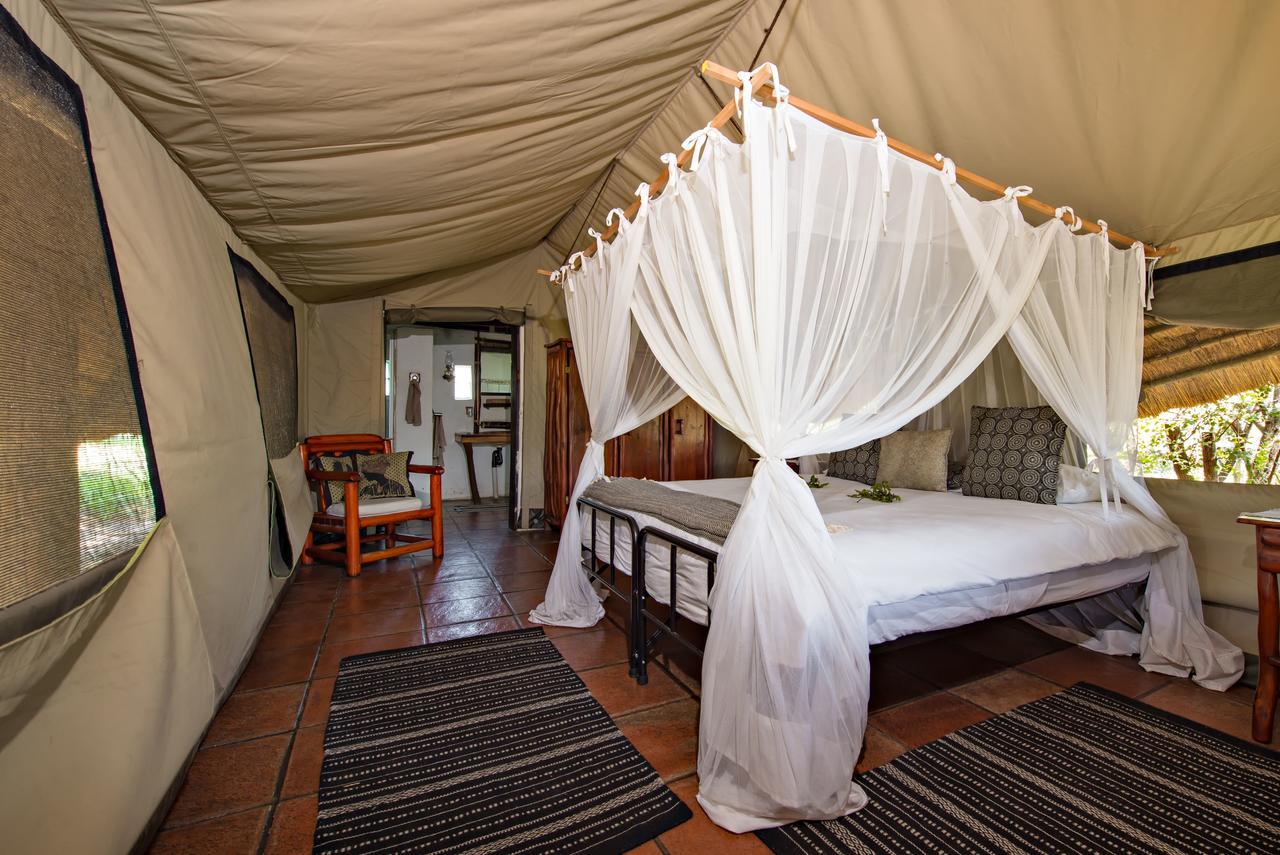 Willa Pungwe Safari Camp Manyeleti Game Reserve Zewnętrze zdjęcie